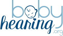 BH Logo